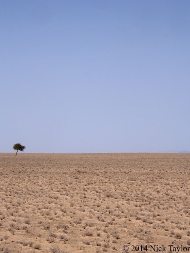 2014_Turkana landscape