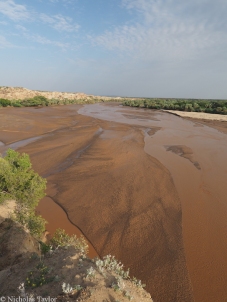the Turkwel River, Turkana