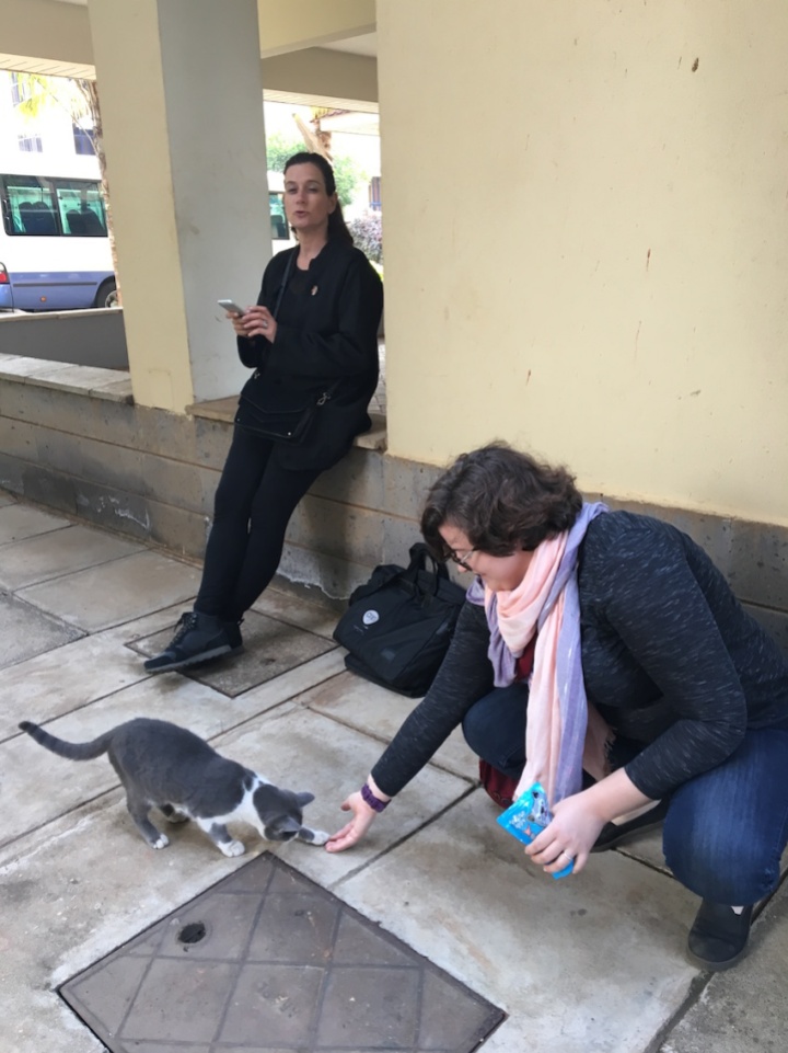 WTAP student member Hilary befriends cats in Nairobi