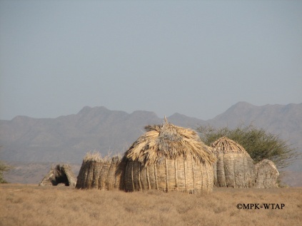 2011_Turkana homes