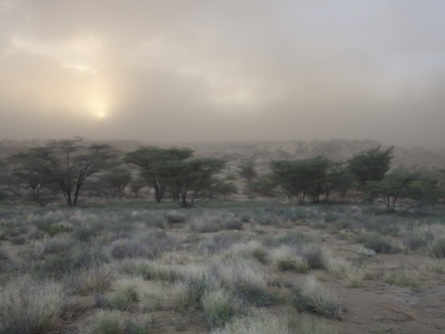 Desert colours in a sandstorm